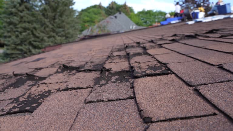 Best Rubber Roofing (EPDM, TPO)  in Avon Lake, OH